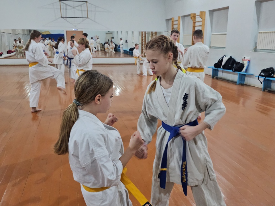 Фото: пресс-служба администрации м.о. Луховицы