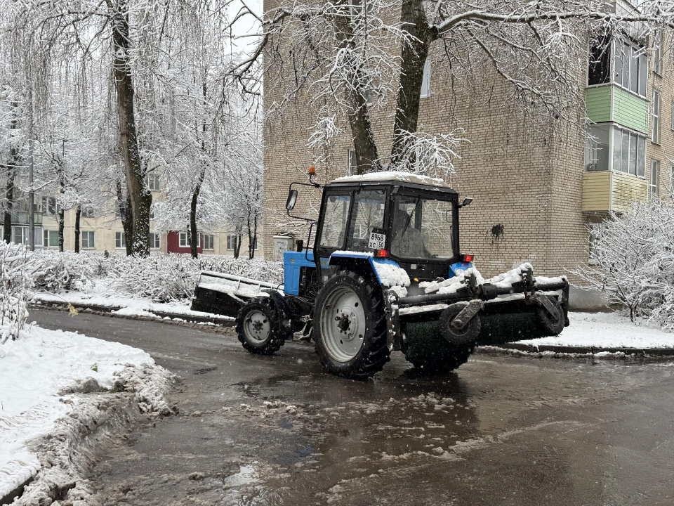 Фото: REGIONS/Татьяна Сташенко