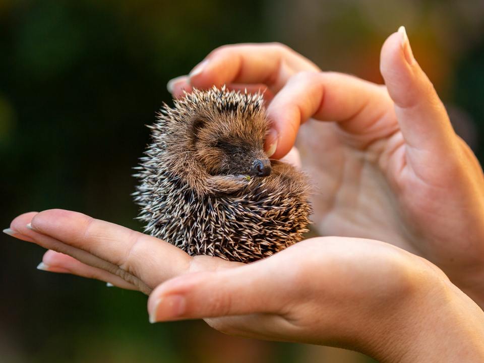 Фото: istockphoto.com