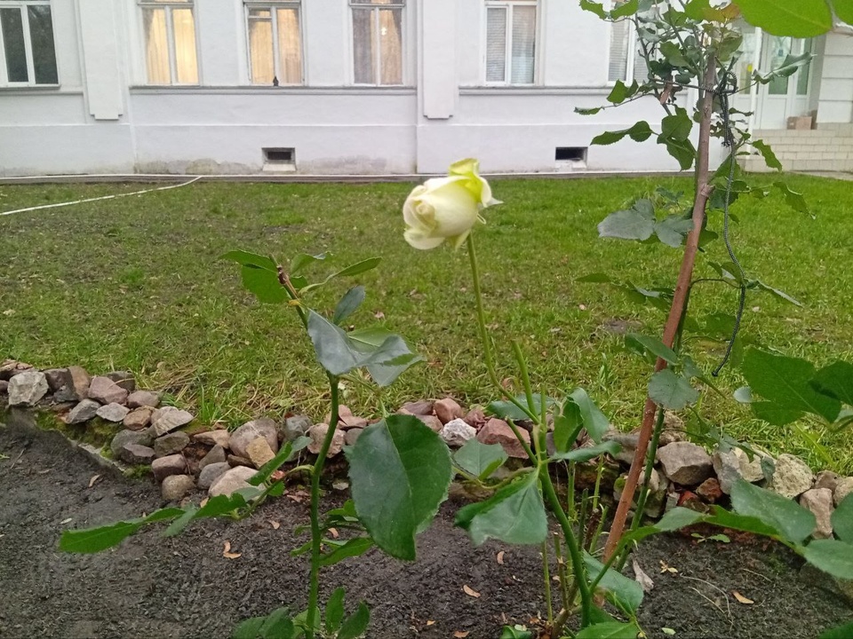 Фото: Дмитрий Роман