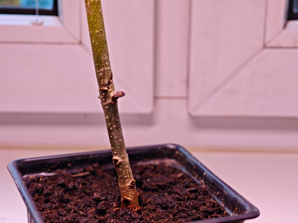 Фото: REGIONS/Максим Зубарев