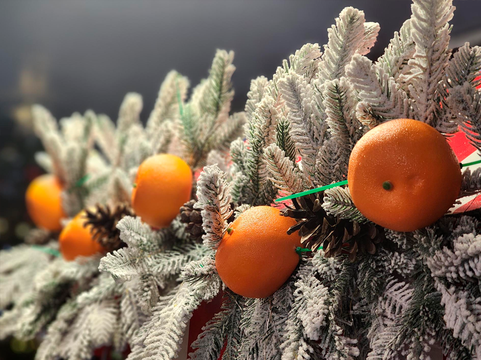 Фото: МедиаБанк Подмосковья/Роман Савельев