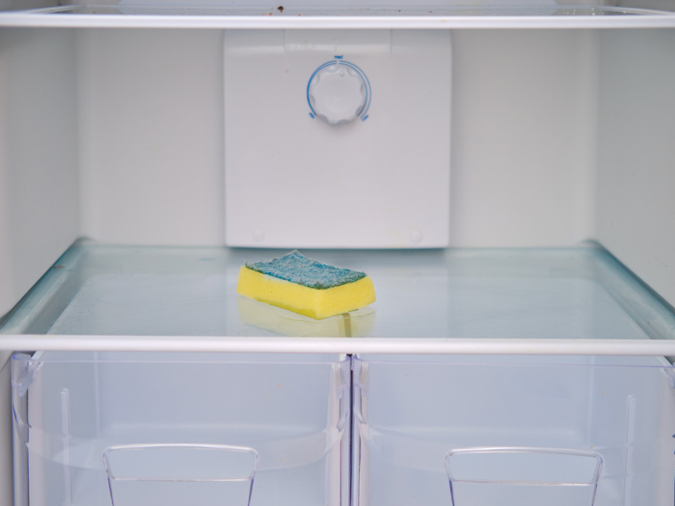 Фото: istockphoto.com/Andrey Zhuravlev 