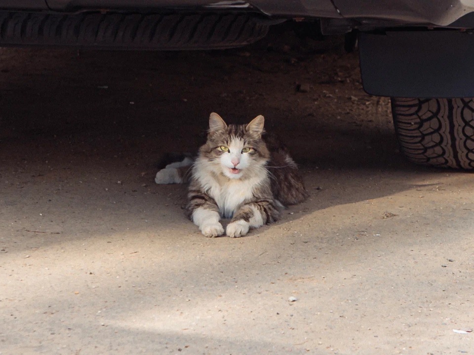 Фото: REGIONS/Наталия Надточая