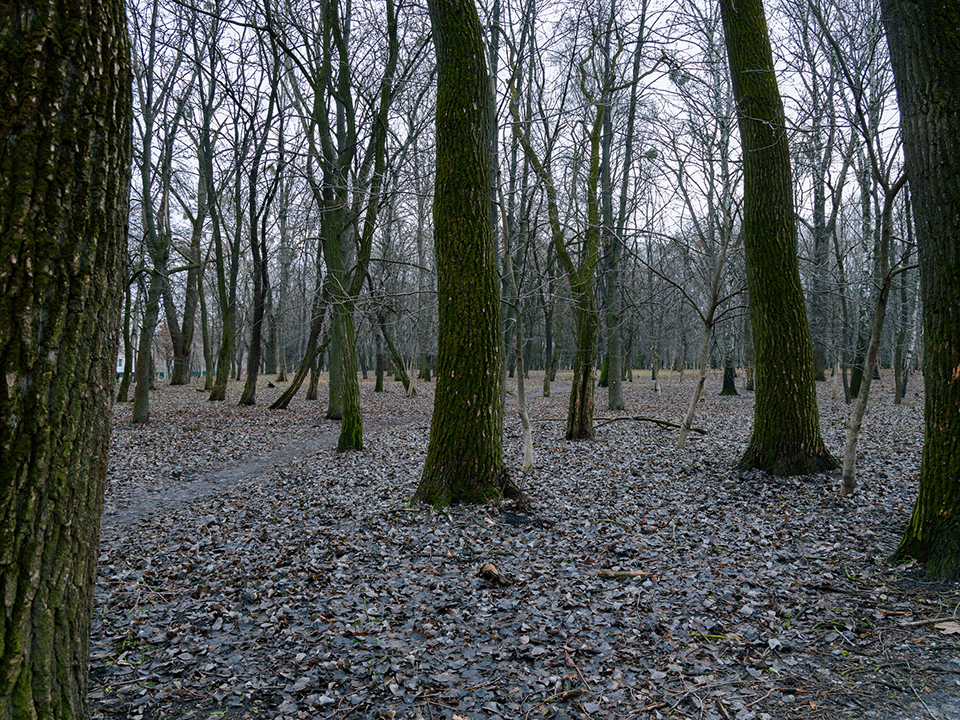 Фото: istockphoto.com/Artem Kniaz