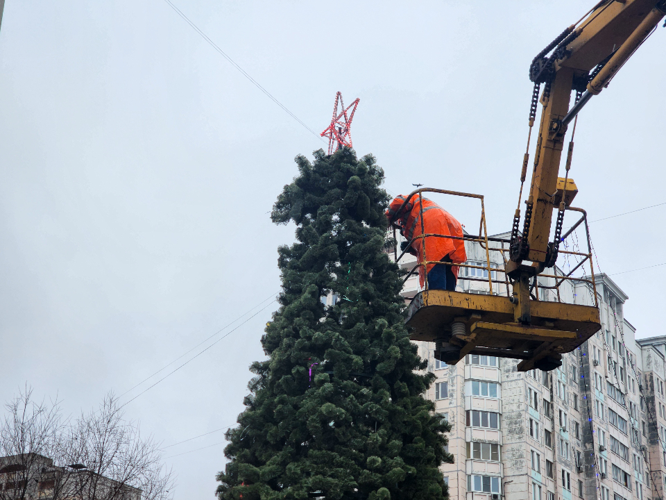 Фото: МедиаБанк Подмосковья/Мария Андрюхина