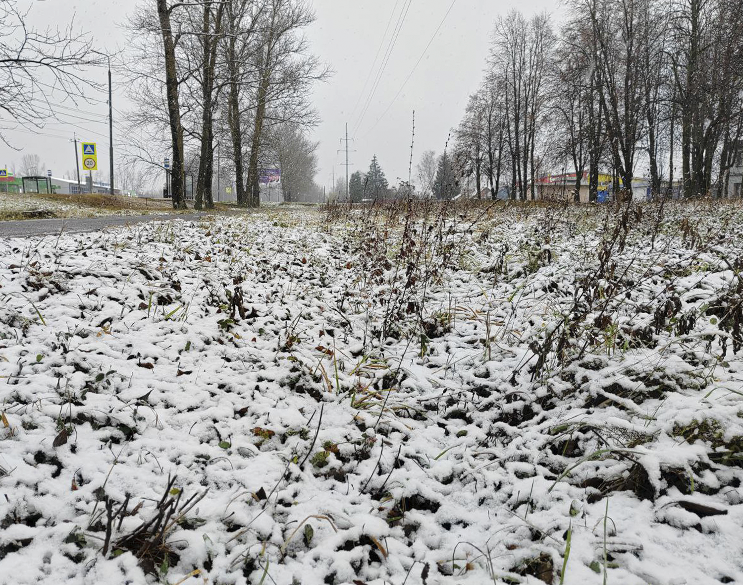Фото: Евгений Мазепов