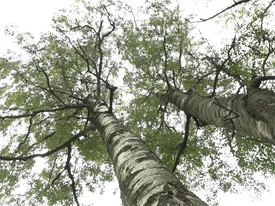 Фото: REGIONS/Наталия Надточая 