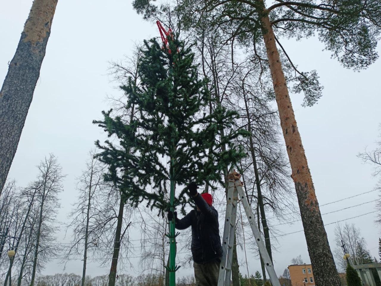 Фото: пресс-служба администрации муниципального округа Шатура 