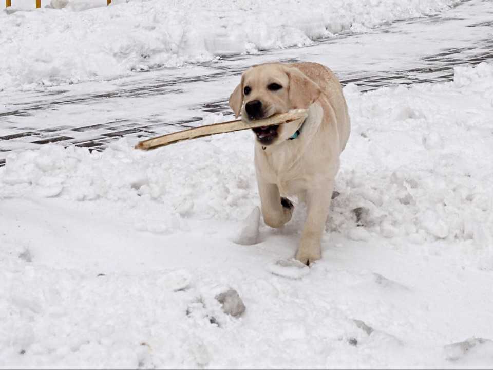 Фото: Максим Зубарев
