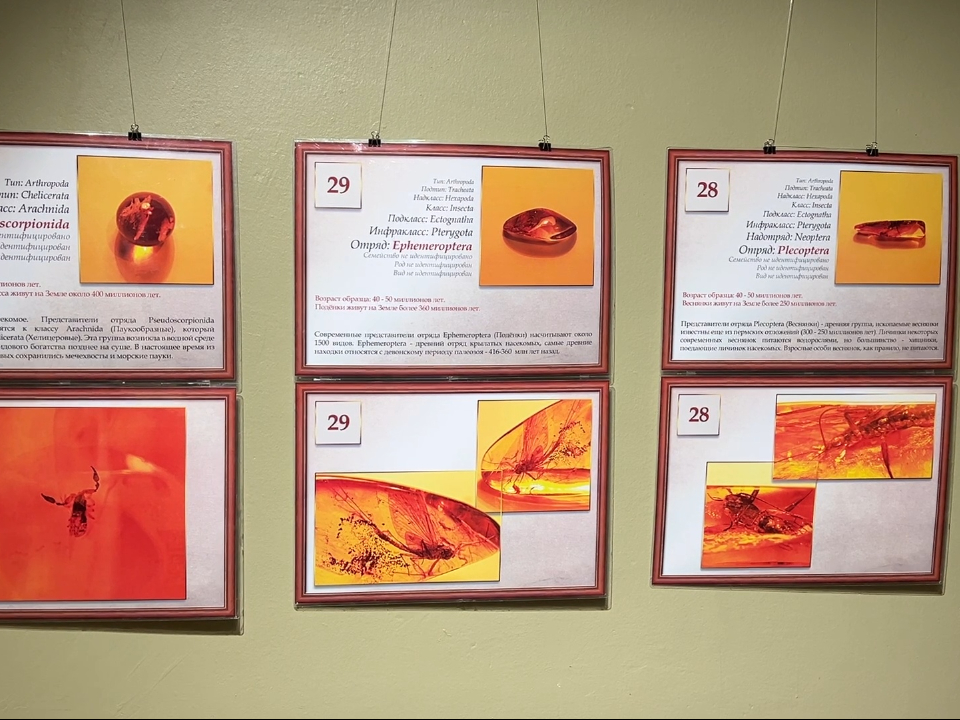 Фото: МедиаБанк Подмосковья/Виктория Фортуна