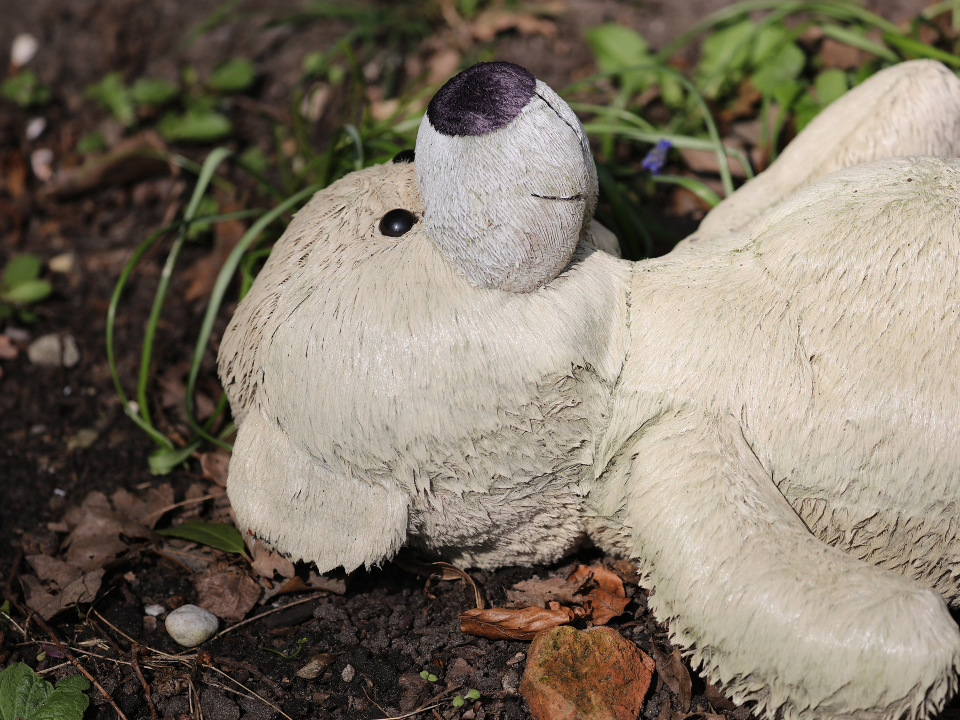 Фото: istockphoto.com/Edwin_Butter