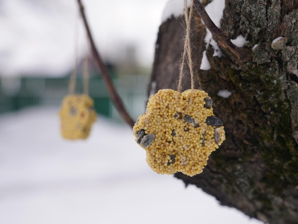 Фото: Государственный исторический музей-заповедник «Горки Ленинские»
