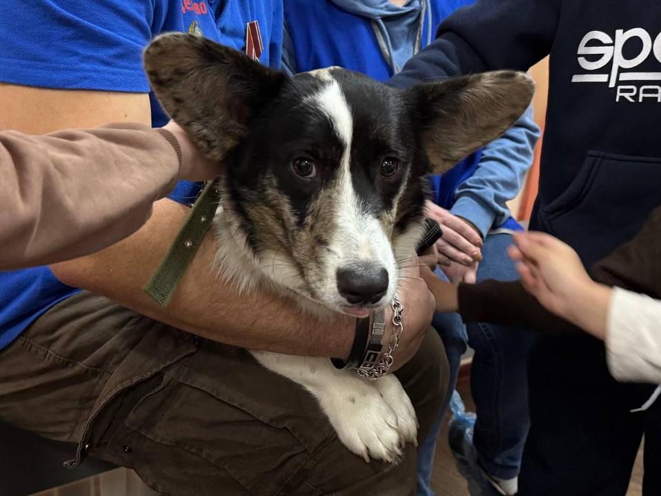 Фото: Дом культуры «Октябрь»