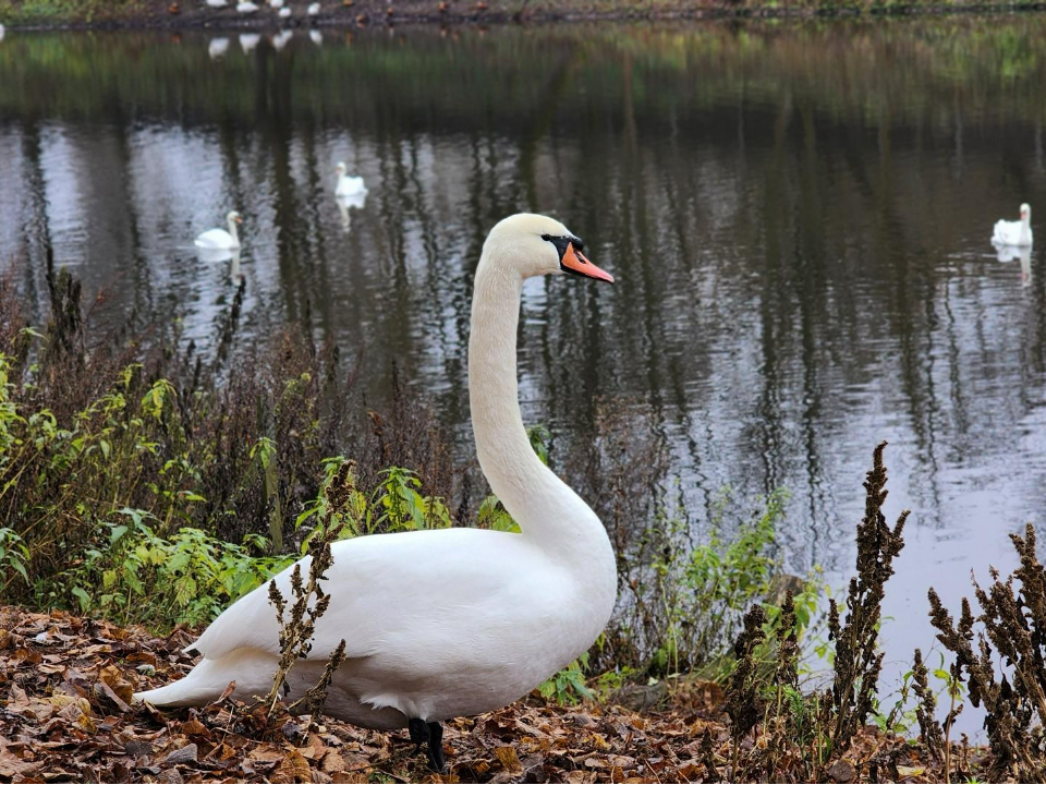 Фото: REGIONS/Валерия Тингаева