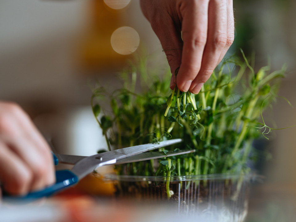 Фото: istockphoto.com/miniseries 