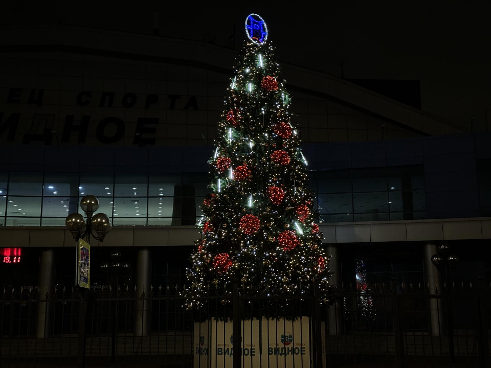 Фото: Полина Абраменко