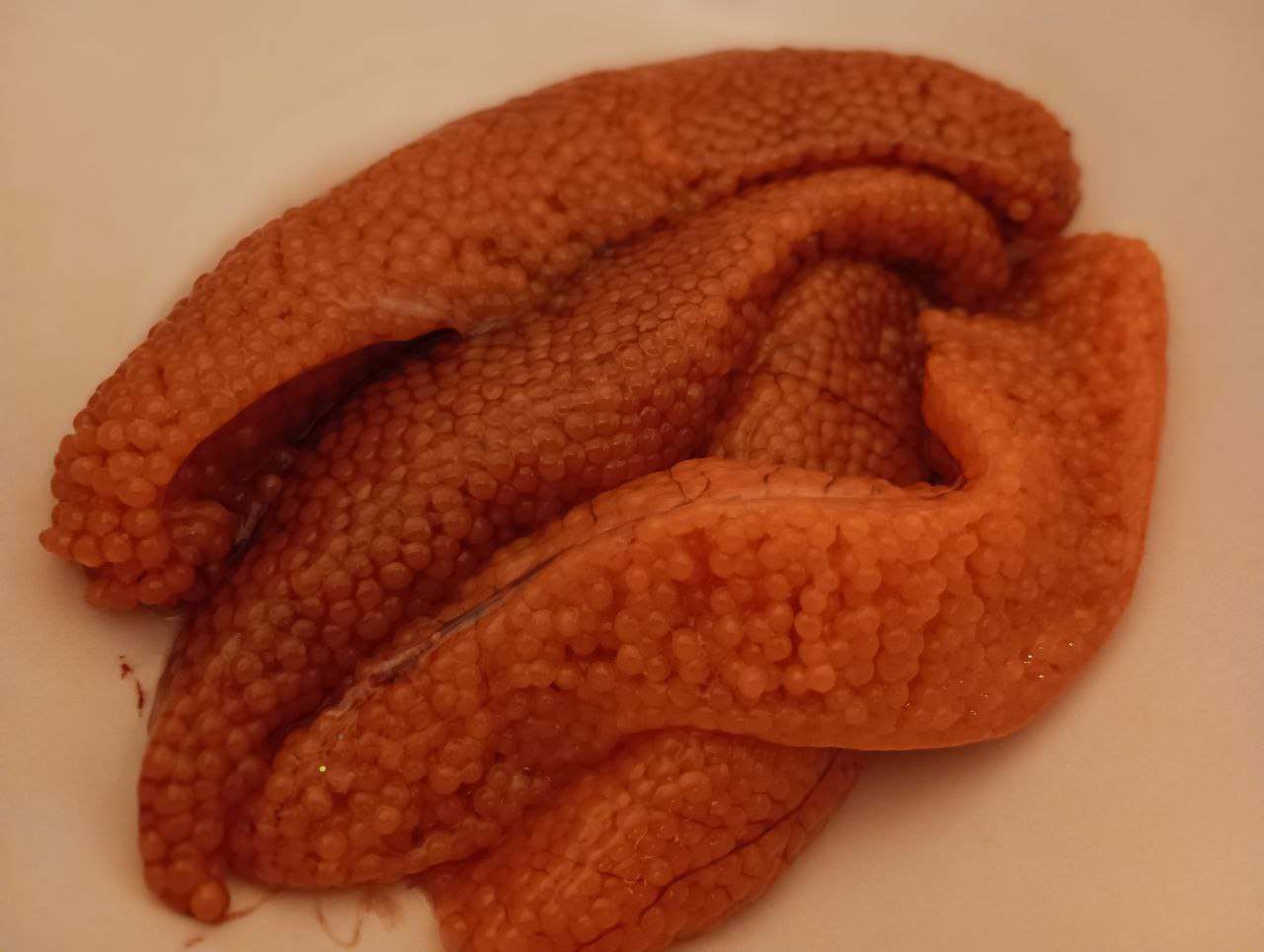 В ноябре пойманная форель чаще всего оказывается с икрой. Фото: Ирина Горбачева