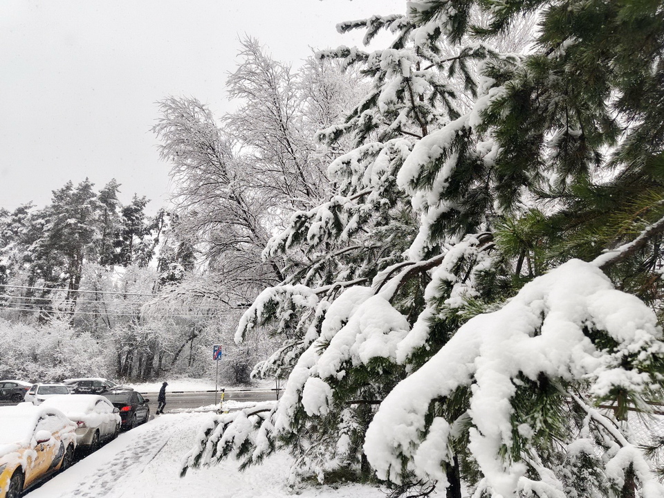 Фото: МедиаБанк Подмосковья/Сергей Орлов