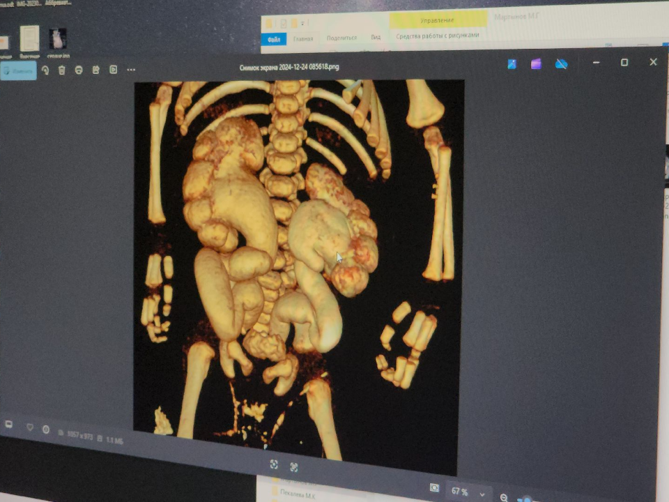 Фото: МедиаБанк Подмосковья/Мария Шигорева