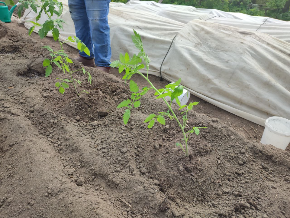 Фото: REGIONS/Елена Забелина