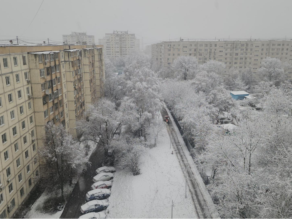 Фото: REGIONS/Артем Мишуков