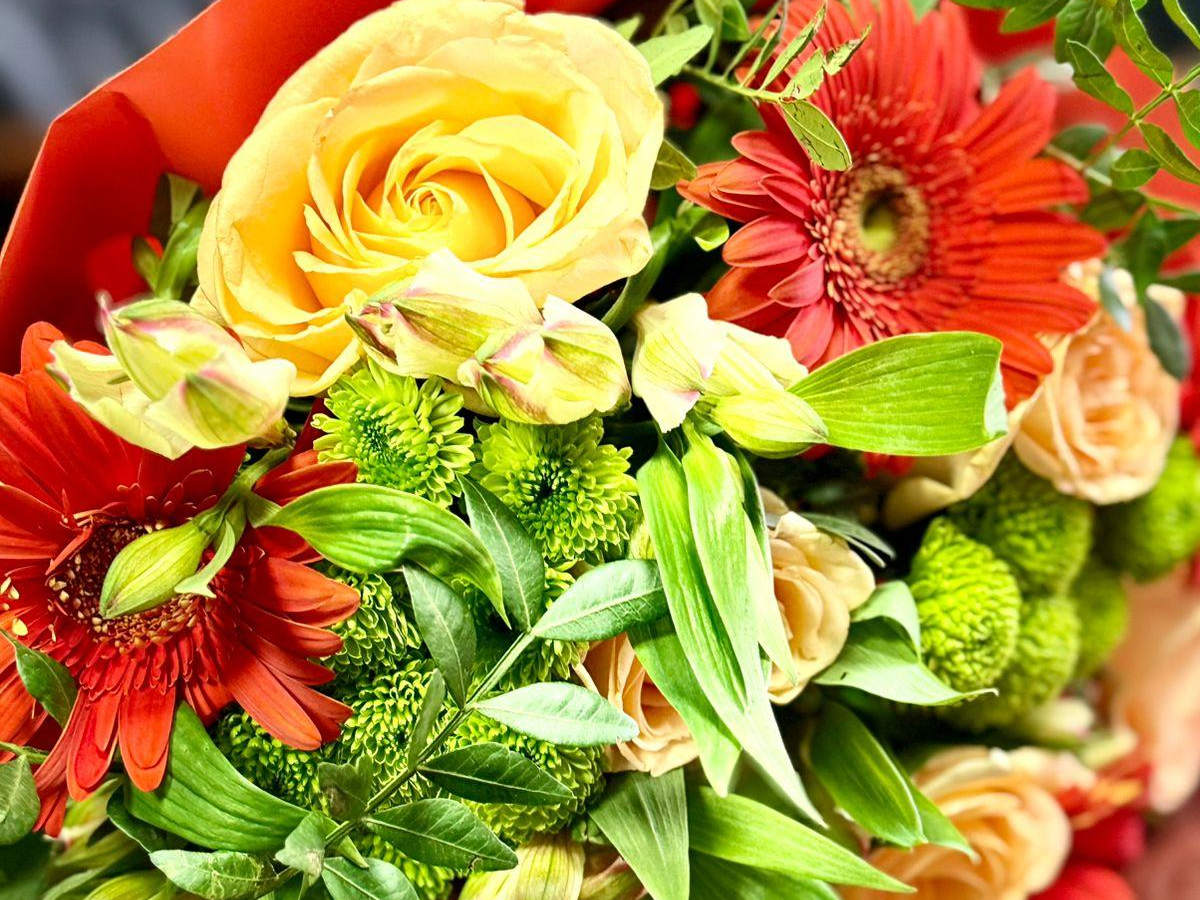 Фото: пресс-служба администрации Наро-Фоминского г.о.           