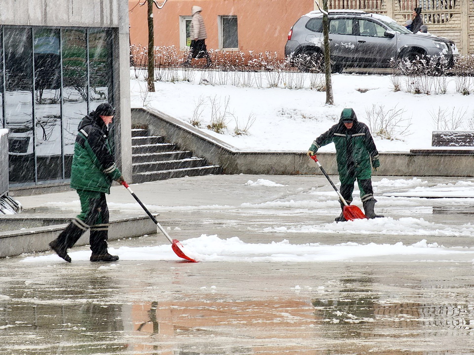 Фото: МедиаБанк Подмосковья/Ольга Аввакумова