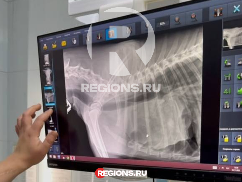 Фото: личный архив Ангелины Дубровой