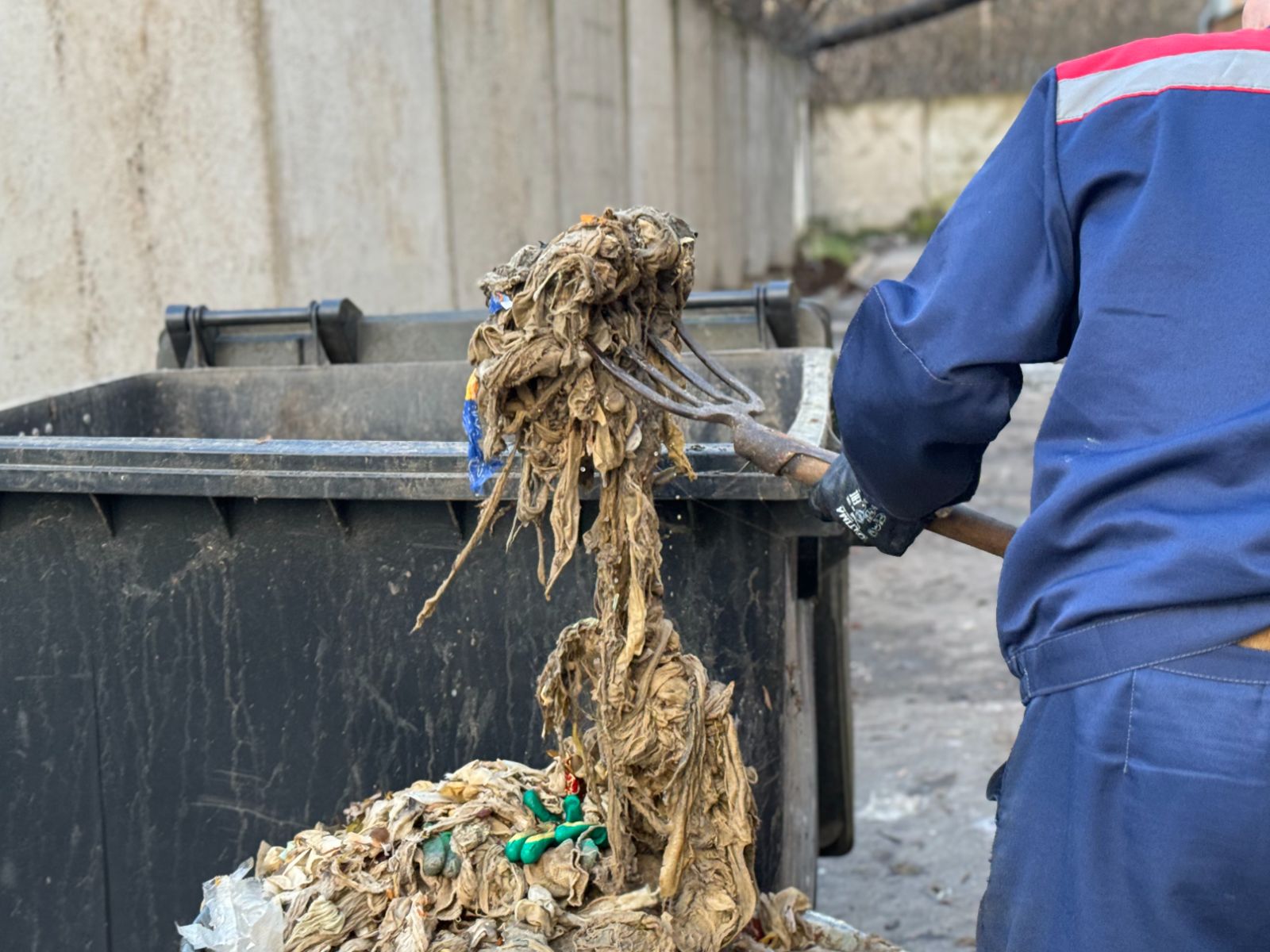 Фото: МедиаБанк Подмосковья/Полина Абраменко