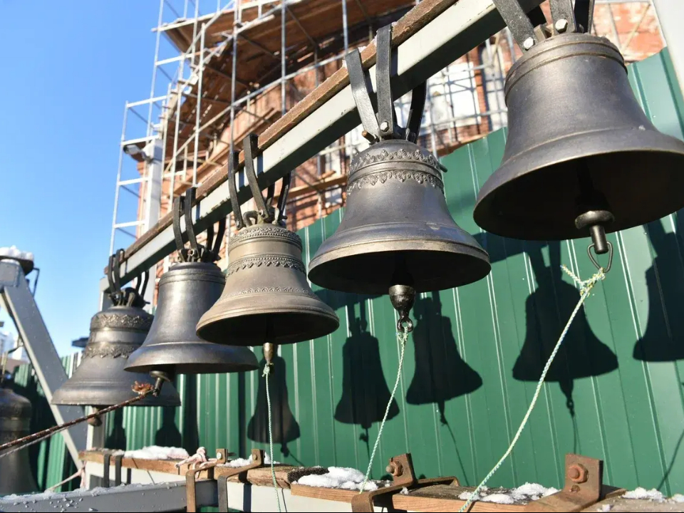 Фото: пресс-служба администрации г. о. Балашиха