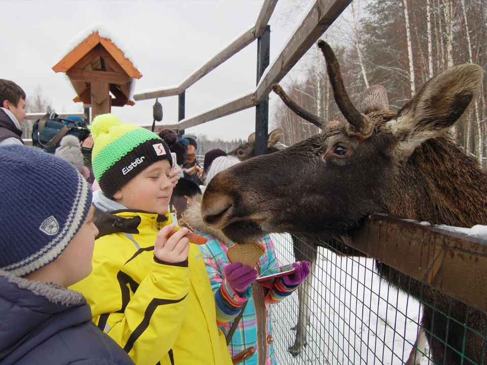 Фото: медиасток.рф