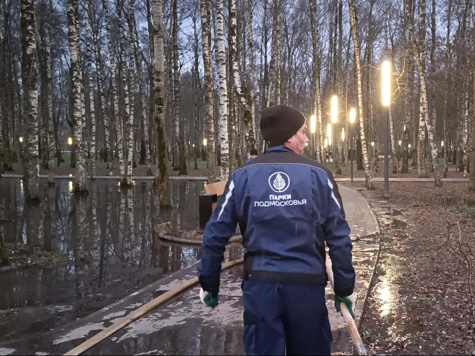 Фото: МедиаБанк Подмосковья/Екатерина Федосеева