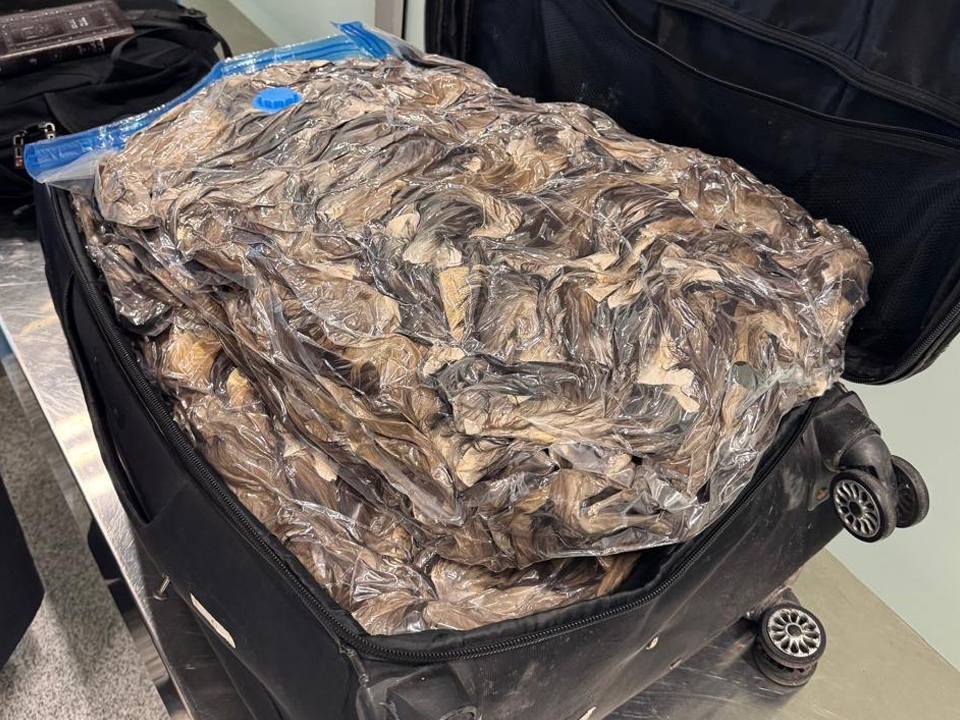 Фото: пресс-служба ФТС России