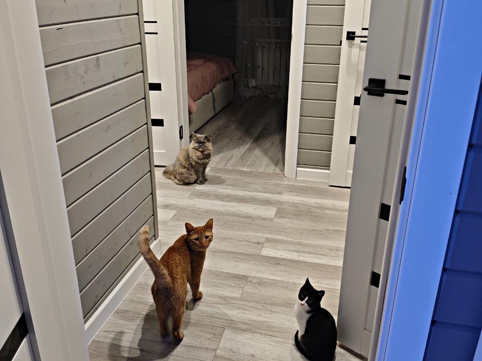 Фото: REGIONS/Максим Зубарев