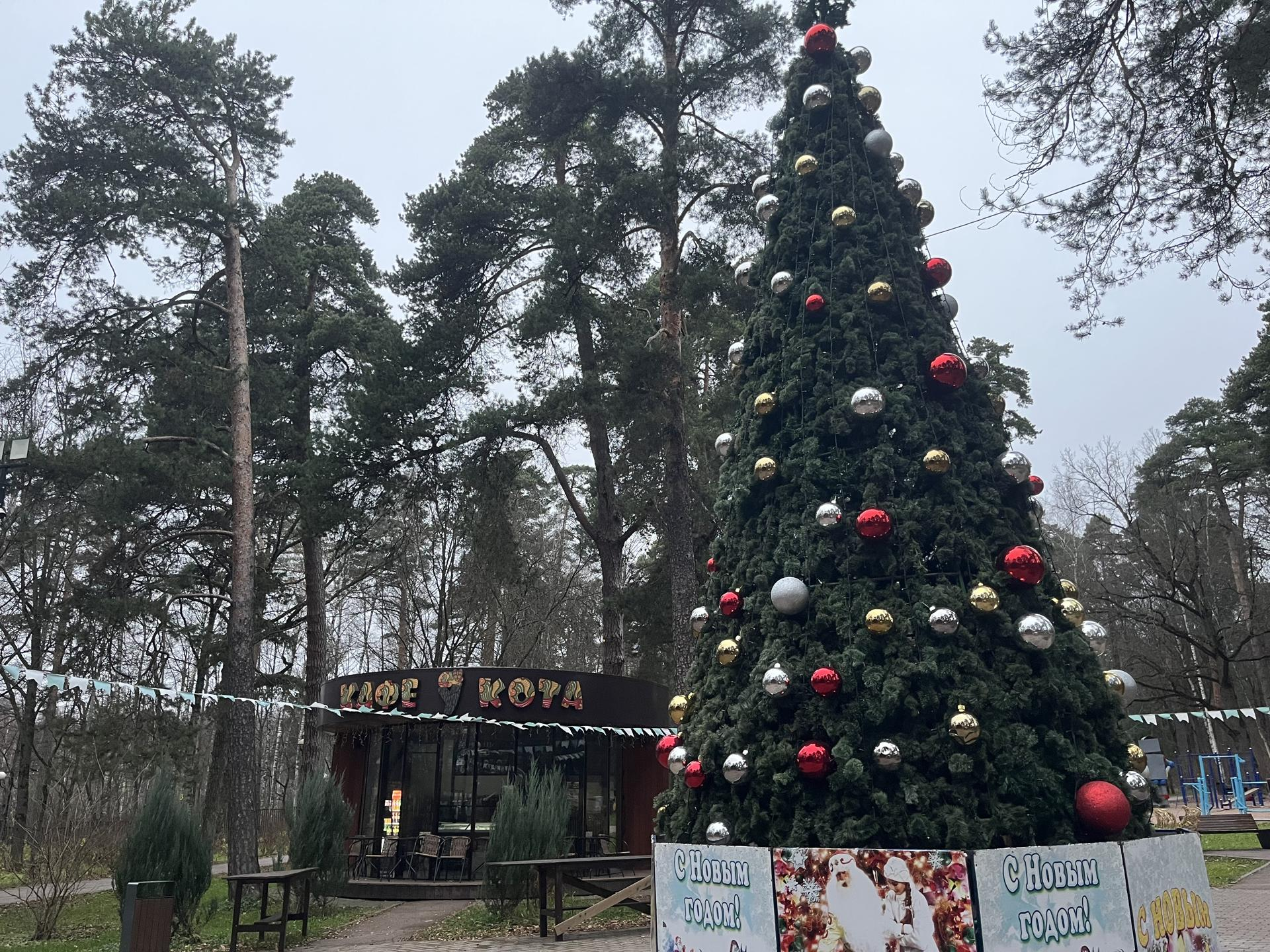 Фото: REGIONS/Кристина Ларина