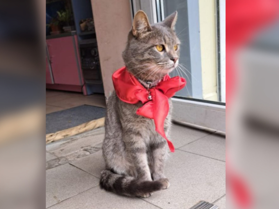 Фото: личный архив Раисы Платоновой