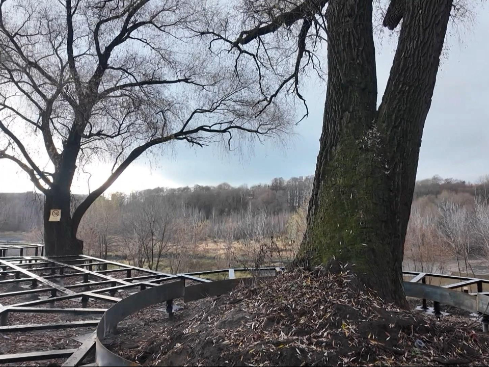 Фото: Раменский медиацентр