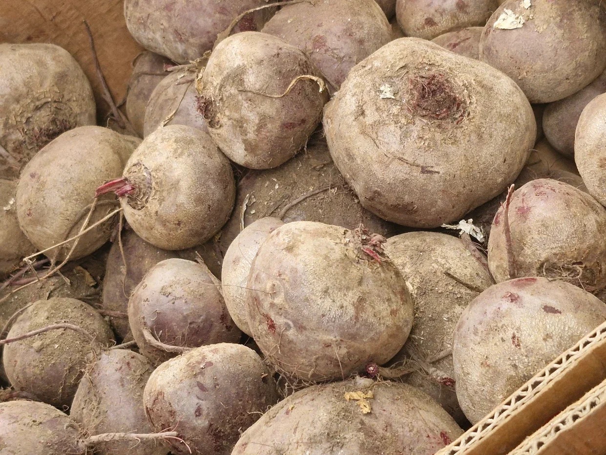 Фото: REGIONS/Наталия Надточая