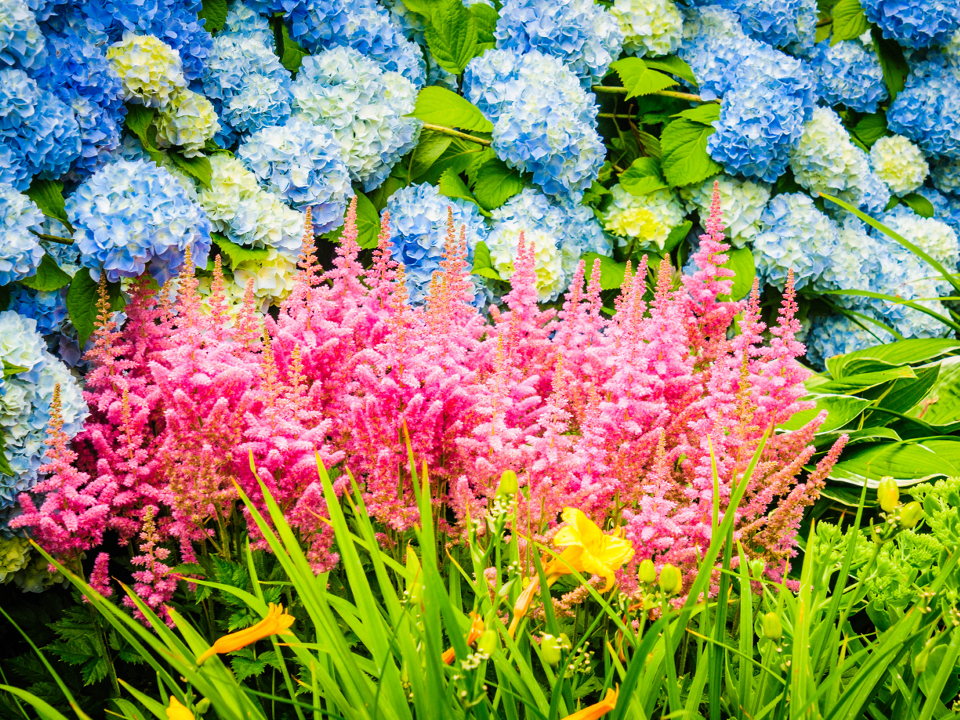 Фото: istockphoto.com/KenWiedemann