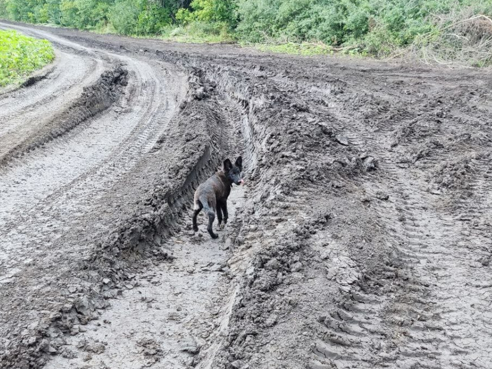 Вьюга в зоне СВО. Фото: личный архив Галины Архиповой