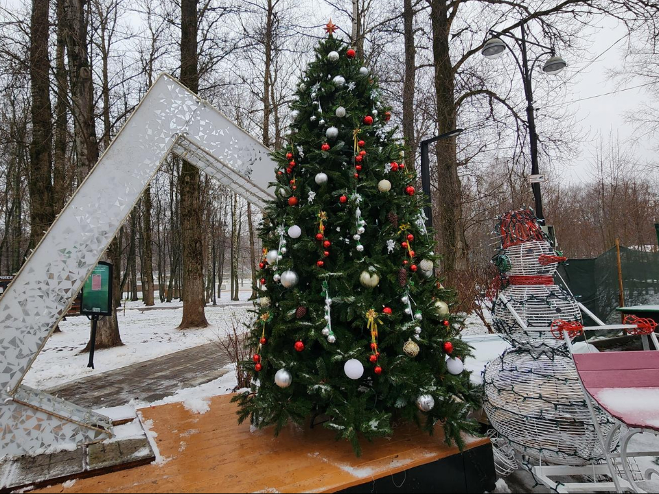 Фото: МедиаБанк Подмосковья/Валентина Максимова