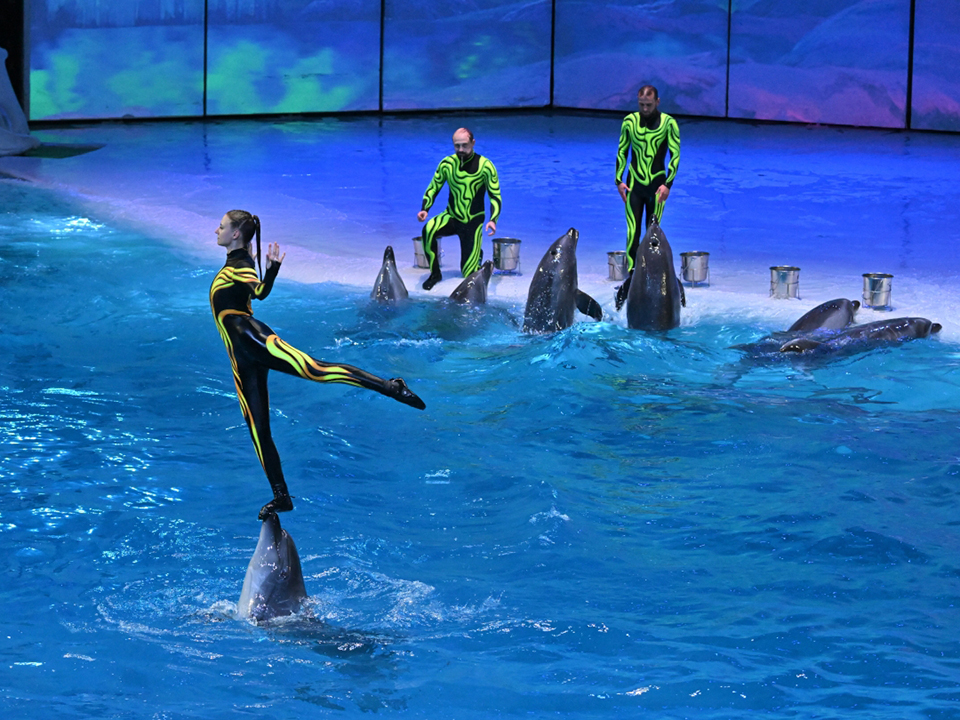 Фото: РИА Новости/Илья Питалев