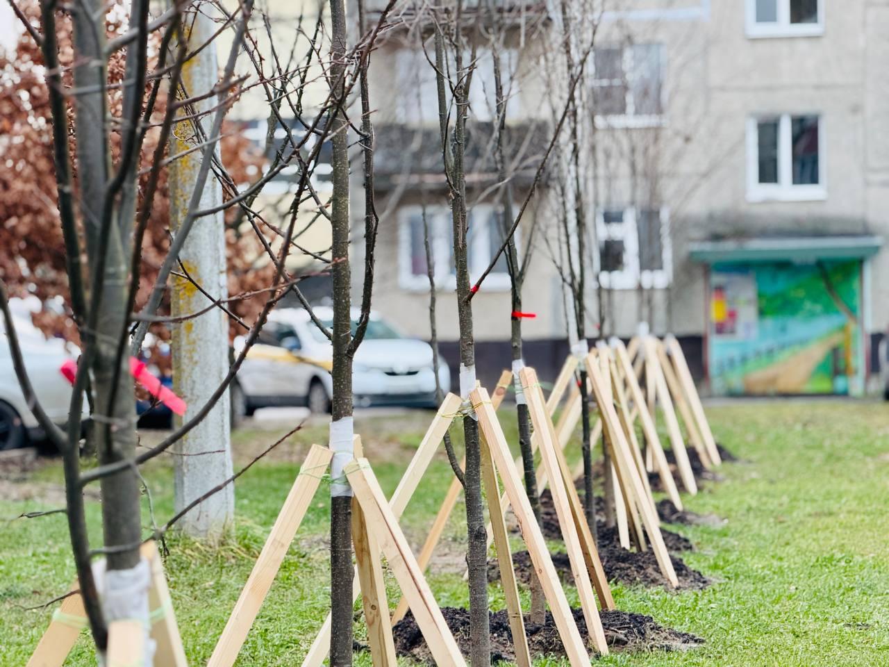 Фото: администрация м.о. Егорьевск