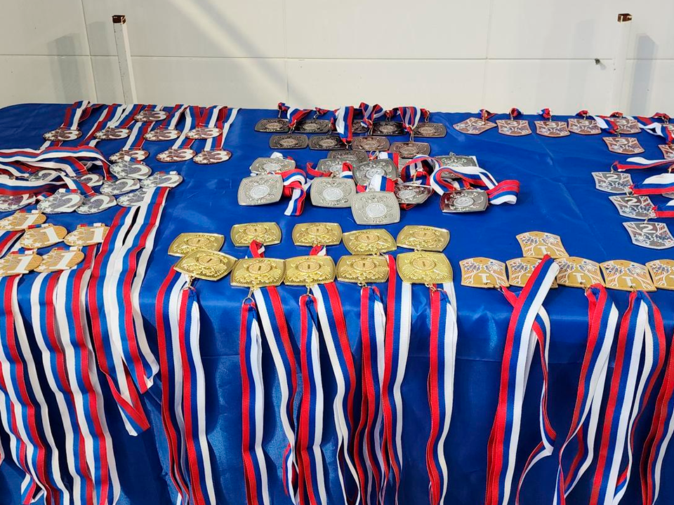 Фото: МедиаБанк Подмосковья/Максим Сафронов