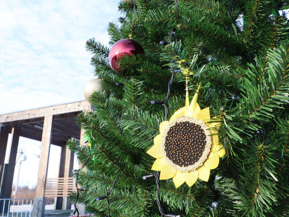 Фото: администрация м.о. Серебряные Пруды 