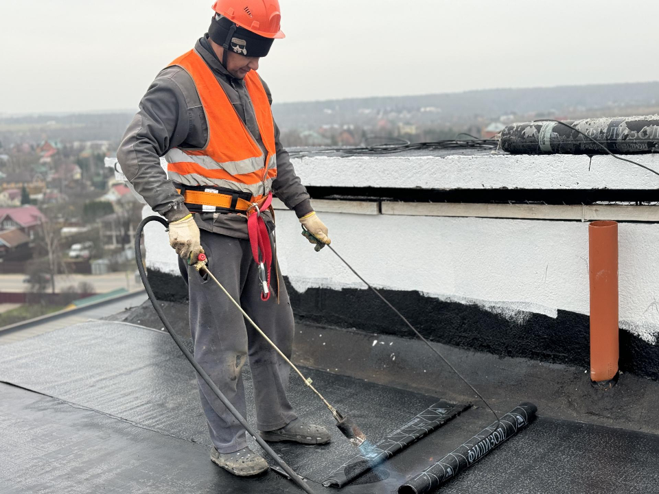 Фото: Полина Абраменко