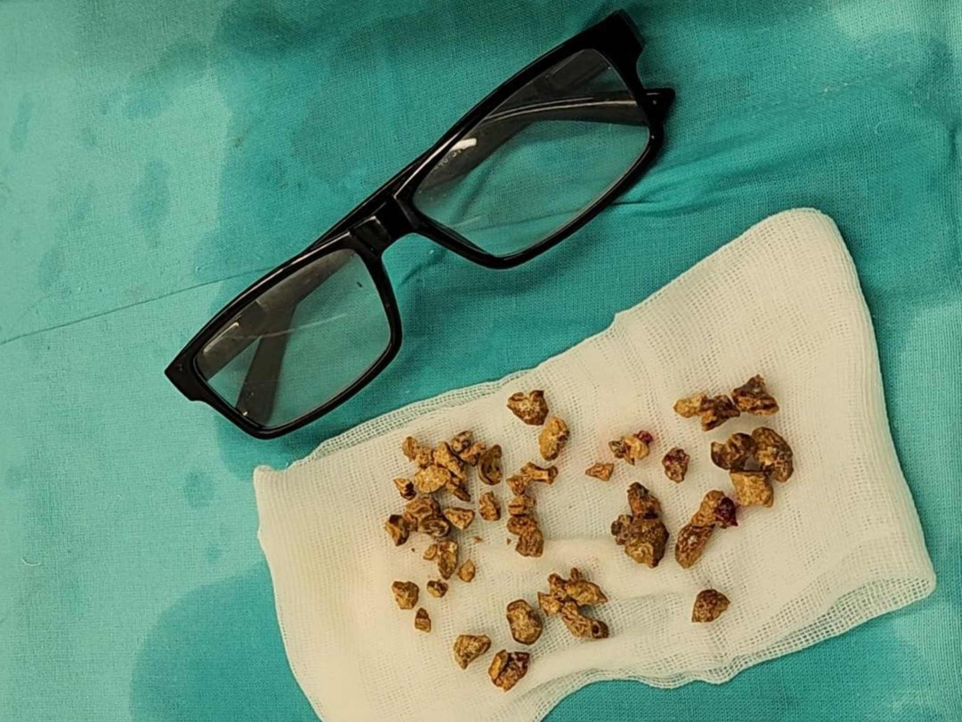 Фото: МедиаБанк Подмосковья/Ирина Моисеева