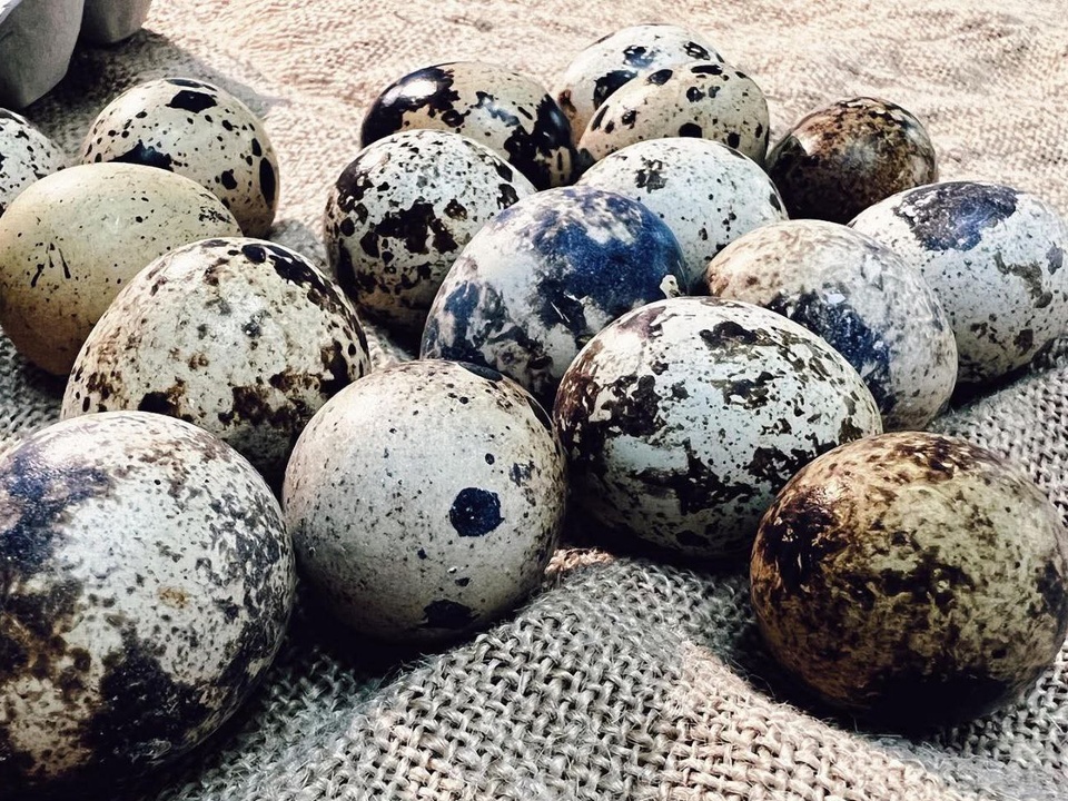 Фото: REGIONS/Наталья Фомина