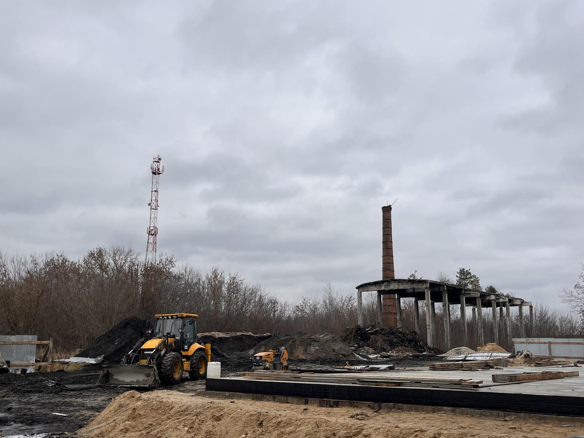 Фото: МедиаБанк Подмосковья/Ангелина Стельмух